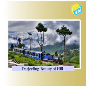 Darjeeling-Golden Truth