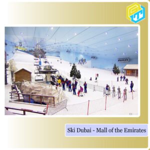 Ski-Dubai---Mall-of-the-Emirates-Golden Truth