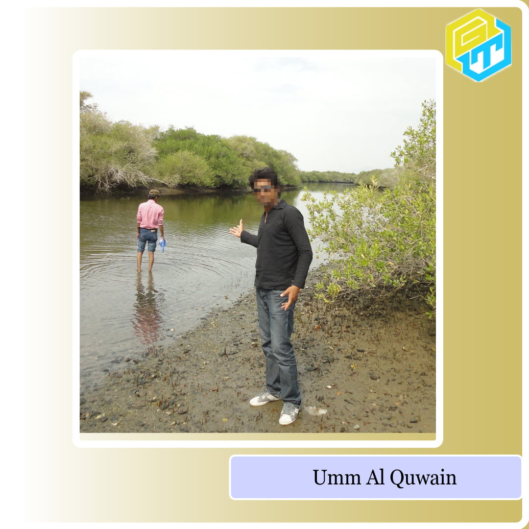 Umm-Al-Quwain-Golden-Truth