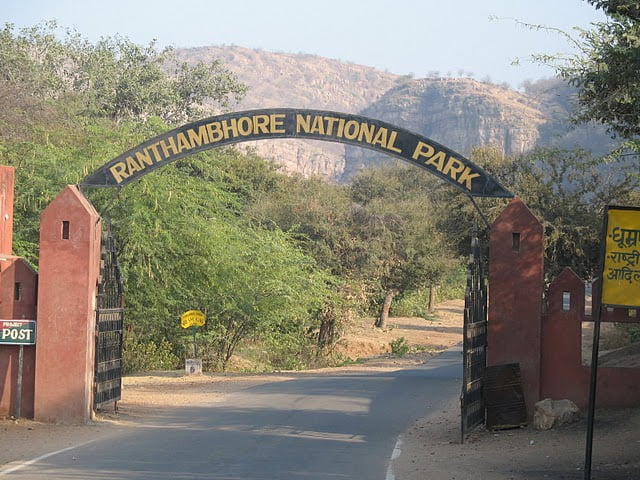 Ranthambhore park-Golden Truth