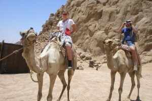 camel safaris-Golden Truth