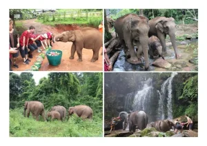 Chiang Mai - Best Places to Visit in Asia in 2024/2025