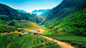 Chiang Mai - Best Places to Visit in Asia in 2024/2025