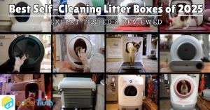 Best Self-Cleaning Litter Boxes of 2025 – Expert Tested & Reviewed