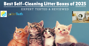 Best Self-Cleaning Litter Boxes of 2025 – Expert Tested & Reviewed