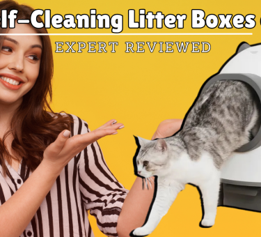 Best Self-Cleaning Litter Boxes of 2025 – Expert Reviewed