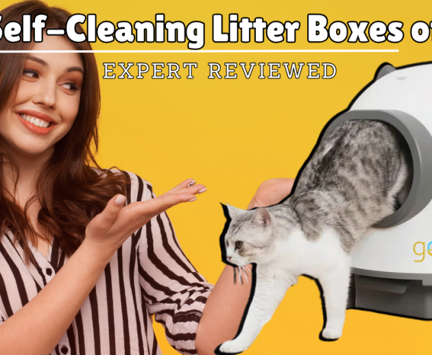 Best Self-Cleaning Litter Boxes of 2025 – Expert Reviewed