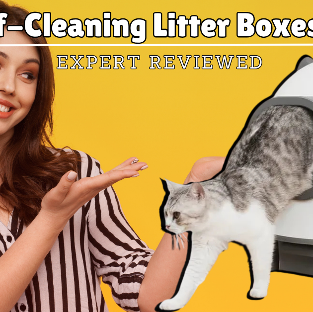 Best Self-Cleaning Litter Boxes of 2025 – Expert Reviewed