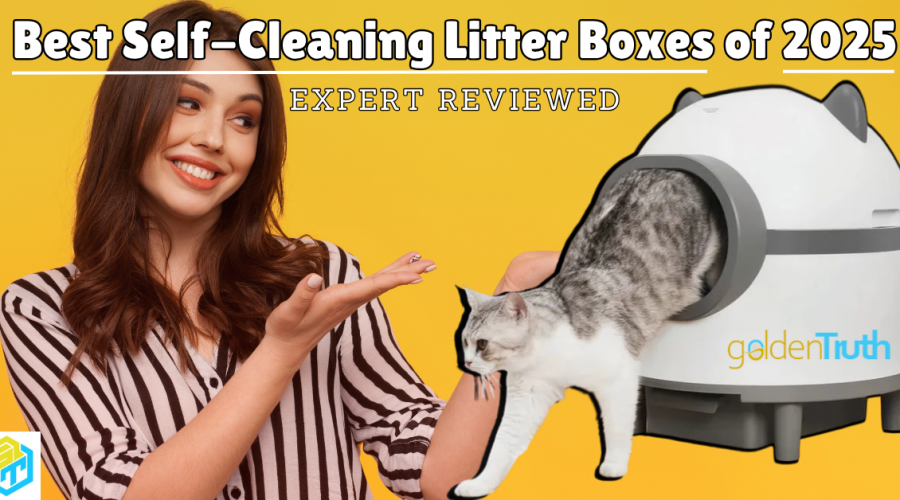 Best Self-Cleaning Litter Boxes of 2025 – Expert Reviewed