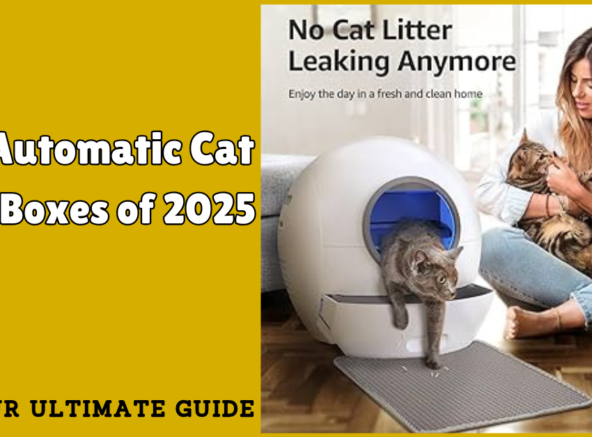 Best Automatic Cat Litter Boxes of 2025