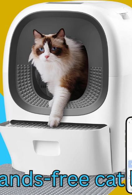 Hands-free cat litter box