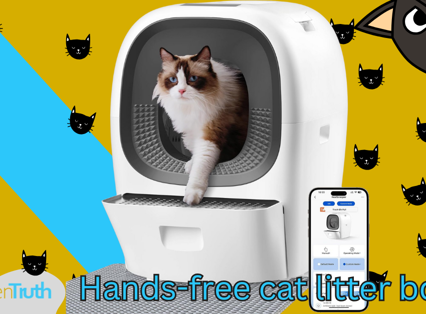 Hands-free cat litter box