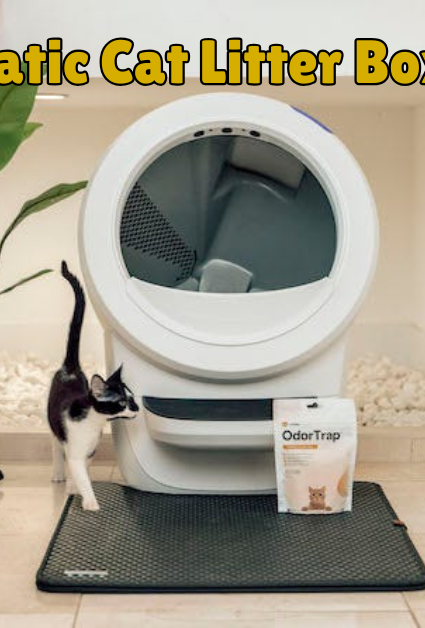 Self-cleaning litter box for multiple cats