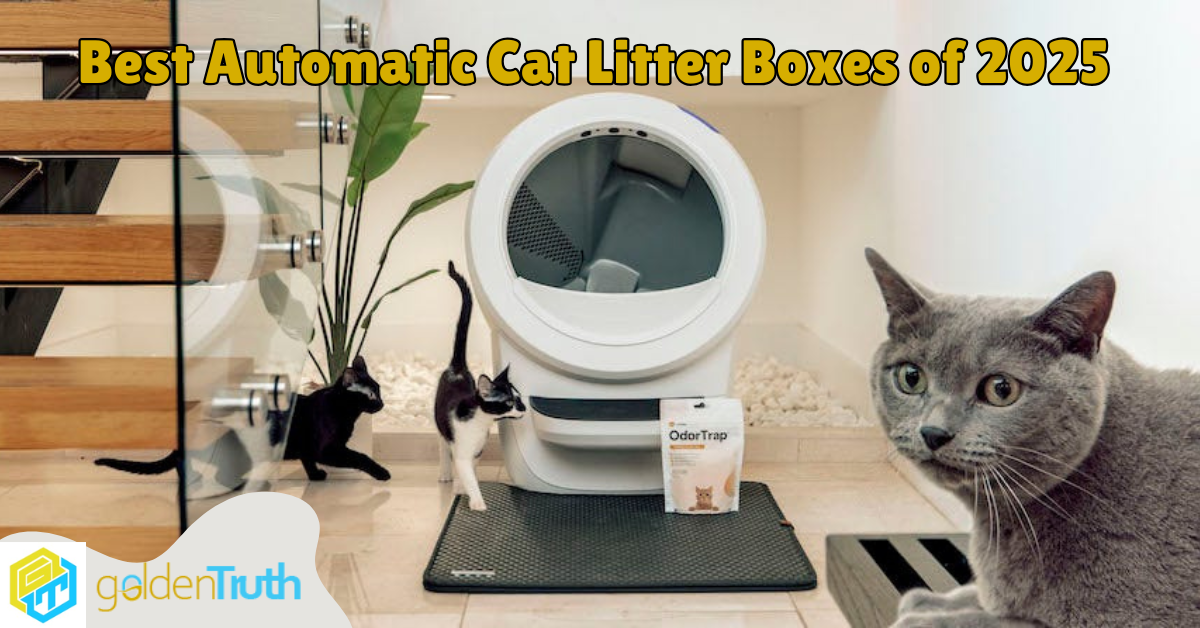 Self-cleaning litter box for multiple cats